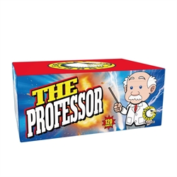 The Professor Professionale