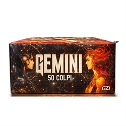 GEMINI