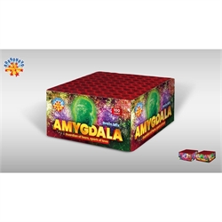 AMYGDALA 